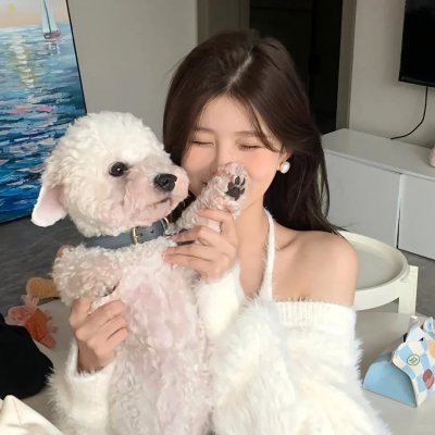 机甲拳击第一季
